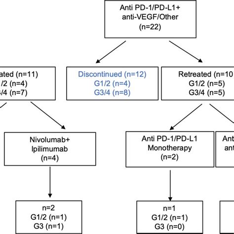 Characteristics Of Initial Immune Related Adverse Events Iraes Download Scientific Diagram