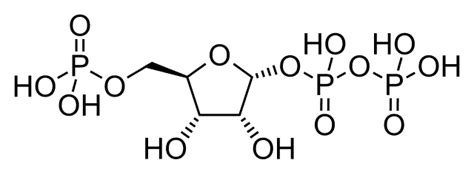 Phosphoribosyl pyrophosphate - Wikiwand