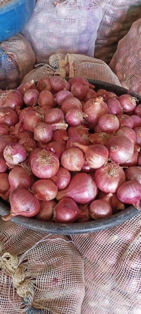 A Grade Mp Fresh Red Onion Gunny Bag Packaging Size 50 Kg At Rs 1000