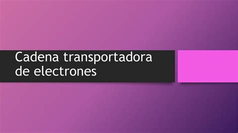 Cadena transportadora de electrones Nelson Jhonatan Rodríguez García