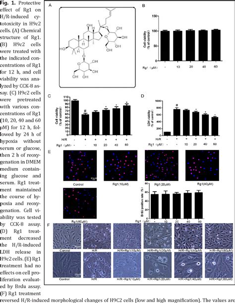 Figure 1 From Ginsenoside Rg1 Protects Cardiomyocytes Against Hypoxia