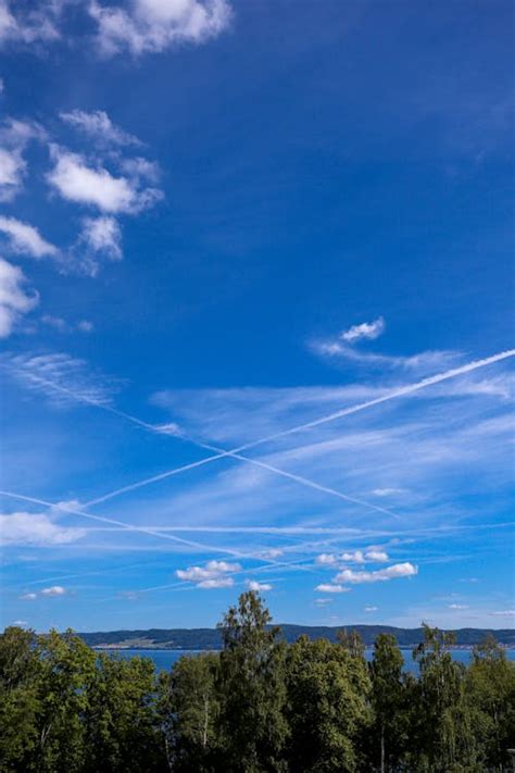 A Blue Sky over Green Trees · Free Stock Photo