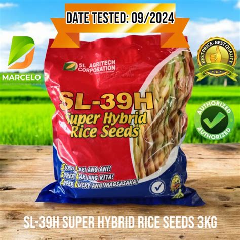 High Yield Super Hybrid Rice Seeds Sl8h Sl19h Sl20h Sl39h 3kg By Sl Agritech Corp Shopee