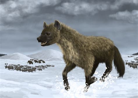 Cave Hyena | Dinopedia | FANDOM powered by Wikia