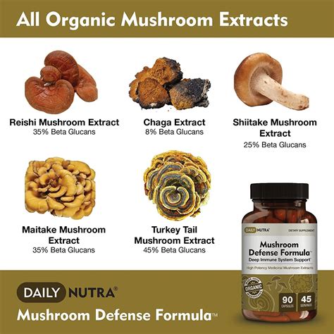 Mushroom Defense Formula By Dailynutra Immune Support Supplement