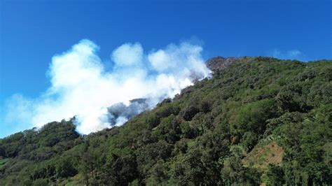 Incendios Forestales Arrasan Miles De Hectáreas De Bosque Guatevision