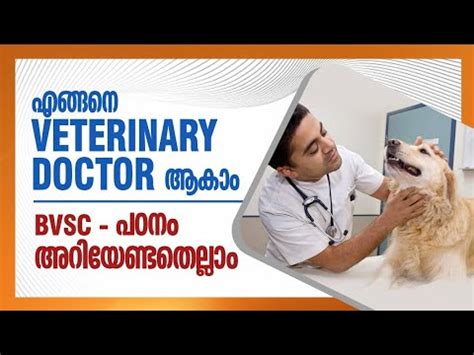 Study Bvsc In India All Details About Veterinary Study In India