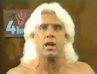 Ric Flair Ric Flair WWF Discover Share GIFs