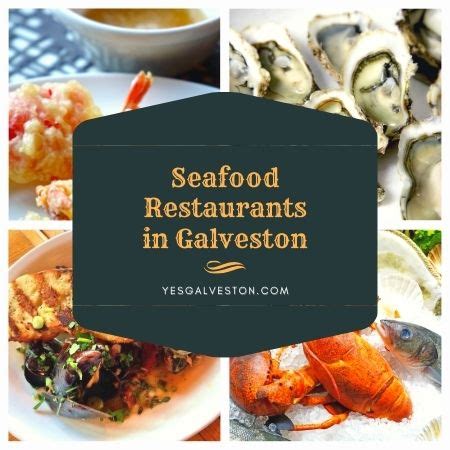 The Best Seafood Restaurants in Galveston - By Island Locals