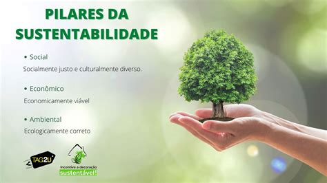 Voc Realmente Sabe O Que Sustentabilidade Construir O Explore O