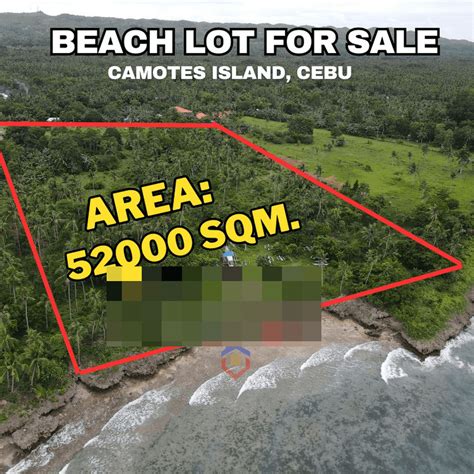 Beach Lot For Sale In Camotes Island Cebu Philippines Hectares