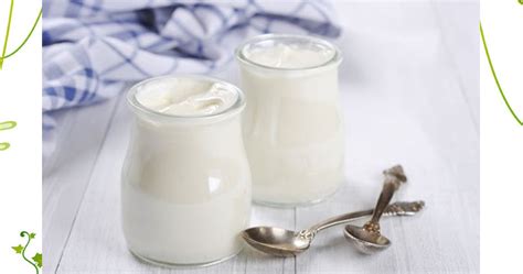 Nabot Botica Natural Cultivos De Yogurt