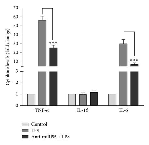 MiR 155 Inhibition In Microglia Cells Increases SOCS 1 Levels And