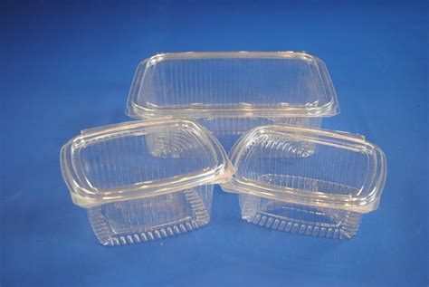 Clear Rectangular Food Containers With Hinged Lid