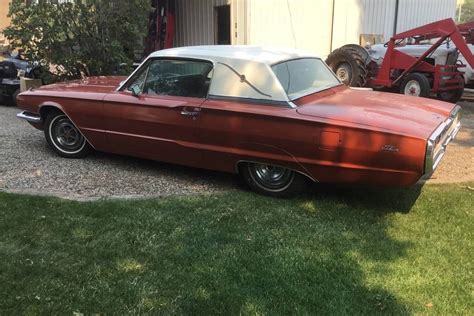 Ford Thunderbird Barn Finds