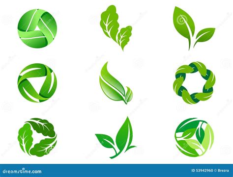 Green Leaf Vector Logo Design And Icon Stock Photography ...