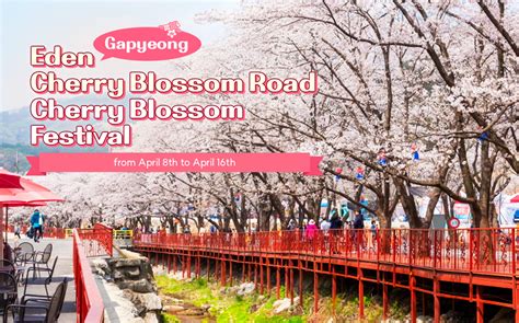 Where are famous cherry blossom spots in Korea? – Hyundai Elevator Webzine