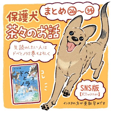 保護犬茶々のお話】 まとめ26〜34話 コミックエッセイ 」ヨシモフ郎の漫画