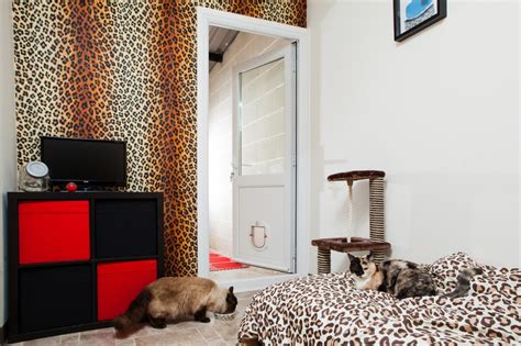 The Luxury Cat Hotel With 24 Hour Service And King Size Beds