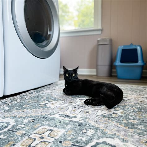 rugs for pets 7