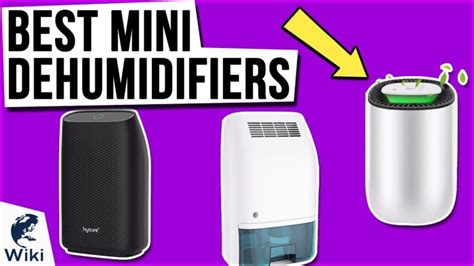 8 Best Mini Dehumidifiers 2021 - BestDehumidifierChoice.com