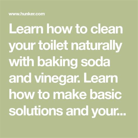 Cleaning Your Toilet With Vinegar And Baking Soda At James Amelia Blog