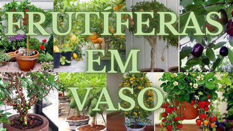 ÁRVORES FRUTÍFERAS EM VASO Cinila Cristina Souto Hotmart