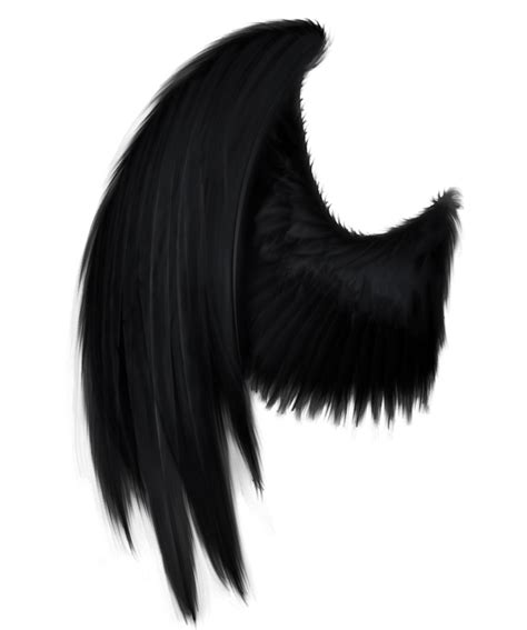 Black Angel Wing By Setsunahideaki On Deviantart