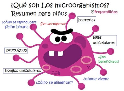 Los Microorganismos Explicación Para Niños De Primaria Preparaniñ