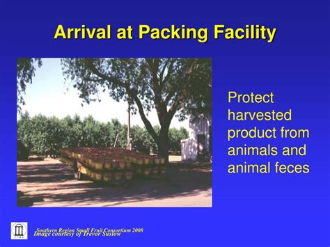 Ppt Good Agricultural Practices For Field And Packing Facility