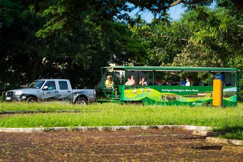 Vídeo mostra onça caçando capivara em refúgio de Foz do Iguaçu