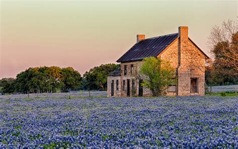 Wallpaper Trees Landscape Flowers Field House Old Building