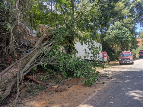 Motorista fica ferido após bater caminhão em árvore na BR 262 em Manhuaçu