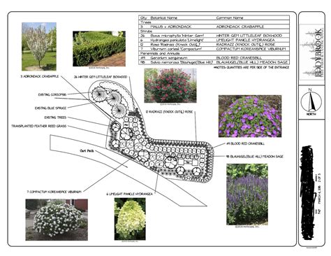 Landscape Design Phases Design Talk