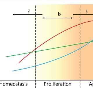 | Targeting ROS homeostasis as a strategy for changing cell fate. In ... 