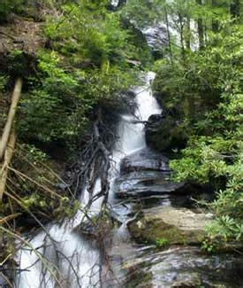 Waterfalls - Dahlonega Visitors Center