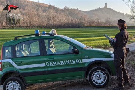 Carabinieri Forestali Sequestro Passaporti Di Cavalli In Scuderia