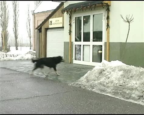 Sexy German Babe Eats Cum After Hot Anal Fuck Amateur Porn Feat Rita Cardinale Xhamster