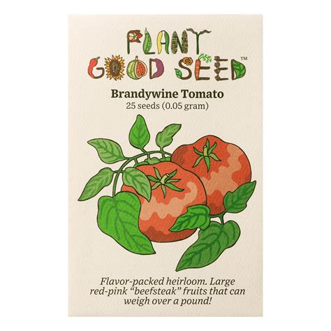 Brandywine Tomato - The Plant Good Seed Company