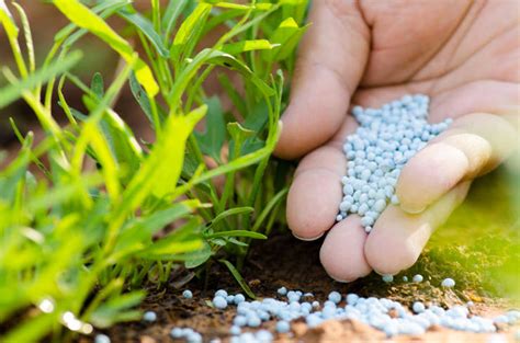 What to Look For in Fertilizer - PlantNative.org