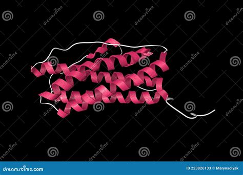 Solution Structure of Human Prolactin, a Hormone Produced in the Pituitary Gland, Named because ...