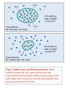 Inorganic Ions A Level Biology Study Mind