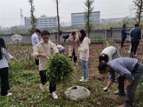 大数据与信息产业学院党总支开展“劳动光荣 砥砺奋进”主题党日活动