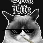 THUG LIFE Meme Generator - Imgflip