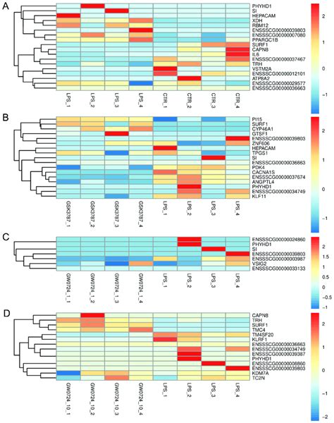 Hierarchical Clustering Heatmap Of Differentially Expressed Genes After Download Scientific