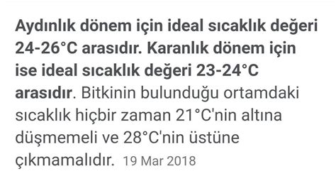 Optimum sıcaklık değerine göre bitkiler hangileri acil Eodev