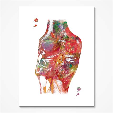 Knee Joints Anatomy Print Knee Ligaments And Tendons Poster