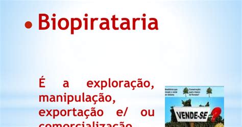 Por Que A Biopirataria Deve Ser Combatida Pelo Governo Brasileiro - Biopirataria-Guedes.pptx - Google Slides