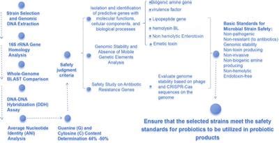 Frontiers Progress Of Research And Application Of Heyndrickxia