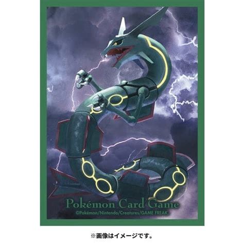 Rayquaza Dragon Type Card